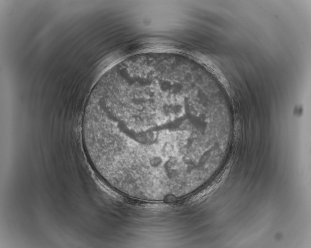 X0000098111425200805021122