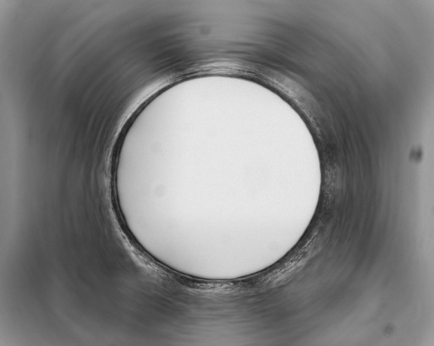 X0000098111426200805021122