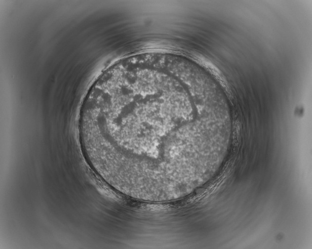 X0000098111427200805021122