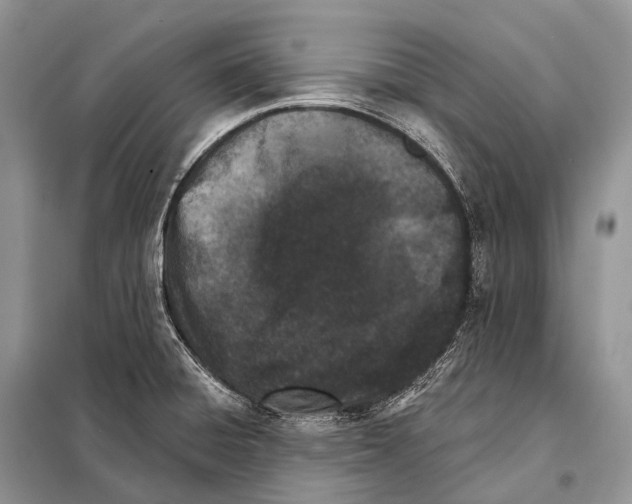 X0000098111428200805021122