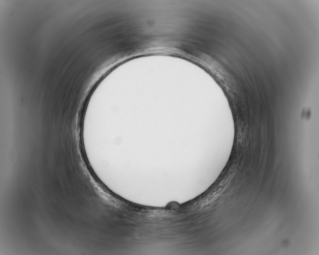 X0000098111430200805021123