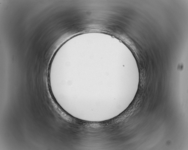 X0000098111431200805021123