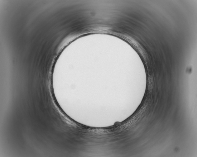 X0000098111432200805021123