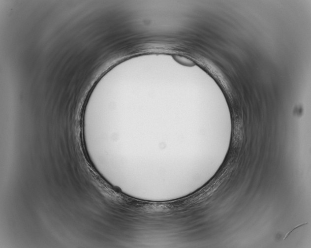 X0000098111435200805021123