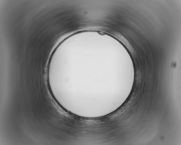 X0000098111436200805021123