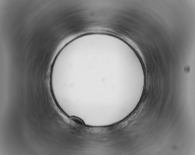 X0000098111437200805021123