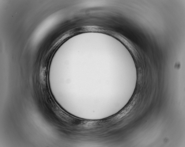 X0000098111438200805021123