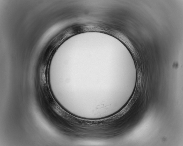 X0000098111439200805021123