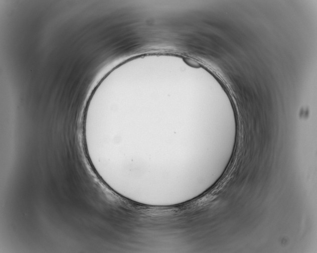 X0000098111440200805021123