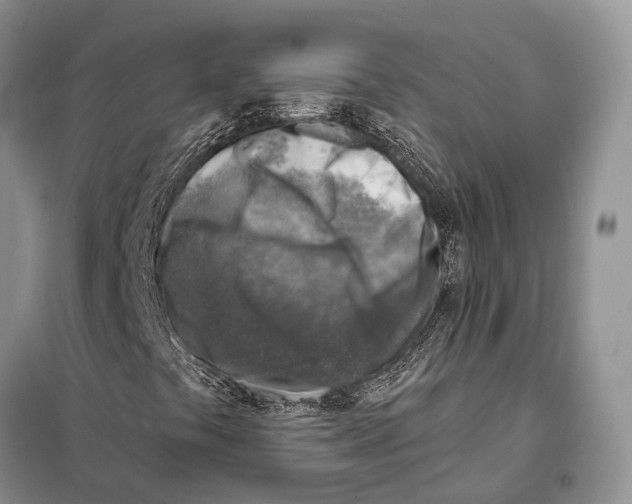 X0000098111441200805021122