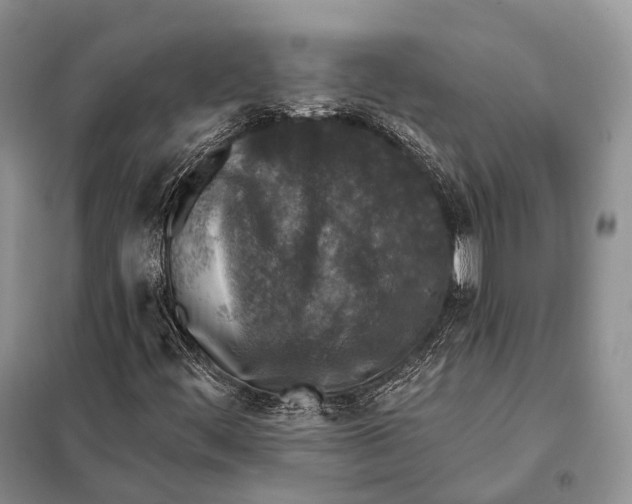 X0000098111444200805021122