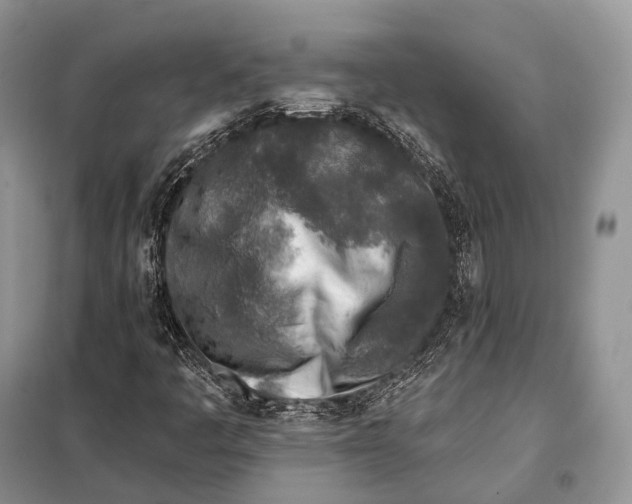 X0000098111445200805021122