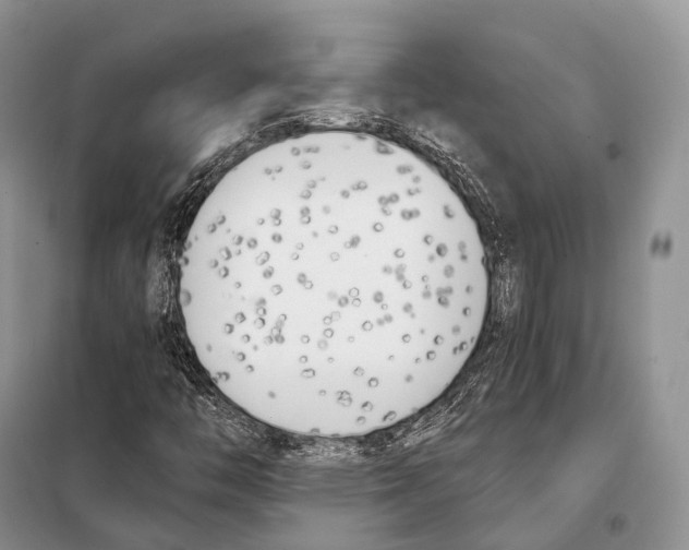 X0000098111446200805021122