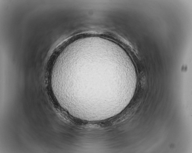 X0000098111448200805021122