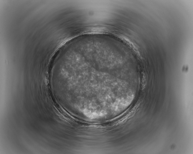 X0000098111449200805021122