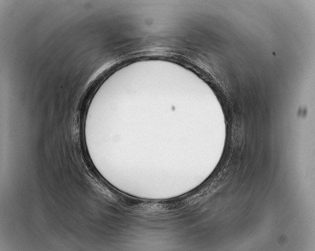 X0000098111450200805021122