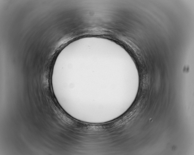 X0000098111451200805021122