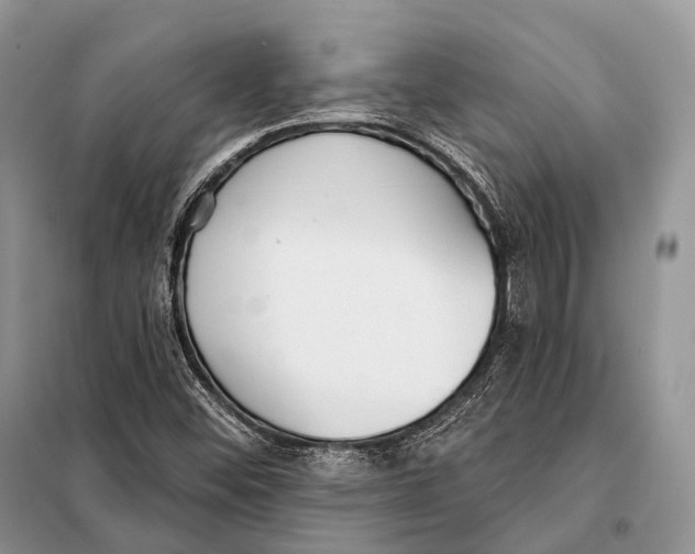 X0000098111452200805021122