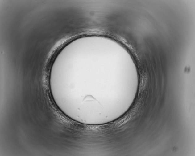 X0000098111454200805021122