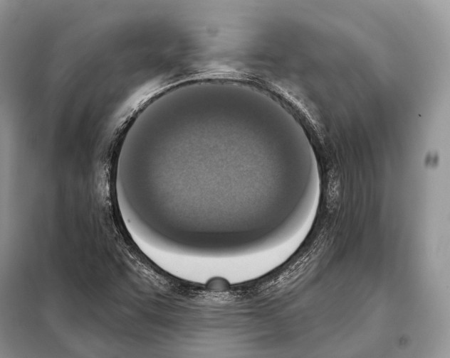 X0000098111455200805021122