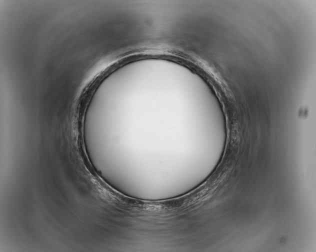 X0000098111456200805021122