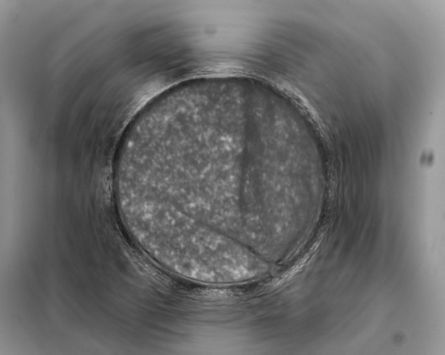 X0000098111457200805021122