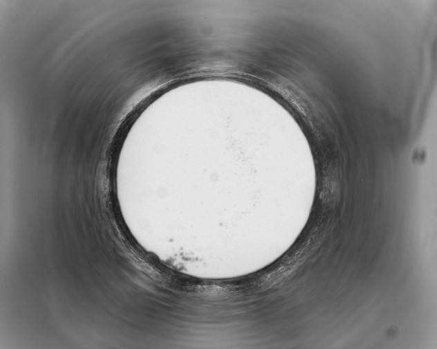 X0000098111458200805021122