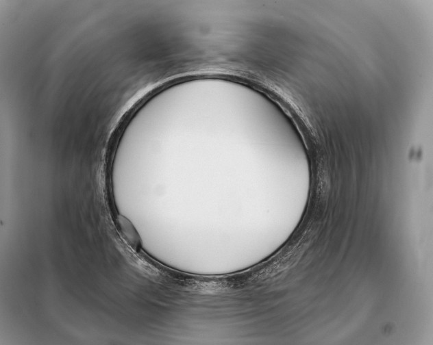 X0000098111460200805021122