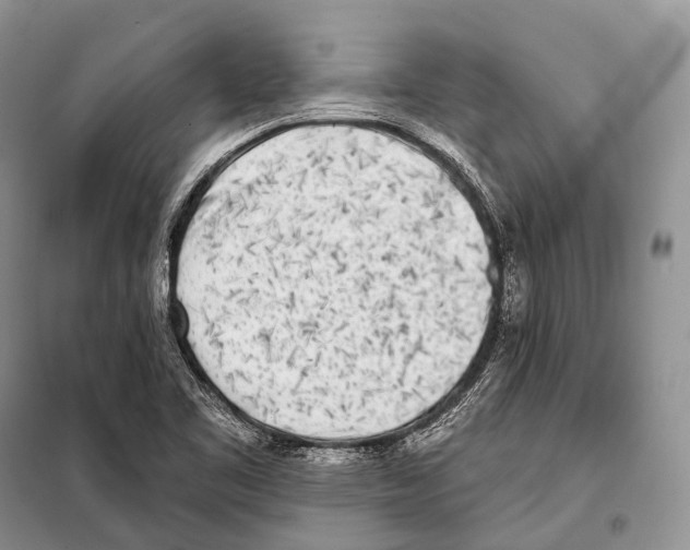 X0000098111461200805021122