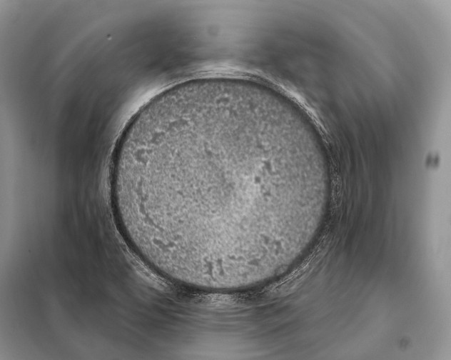 X0000098111463200805021122