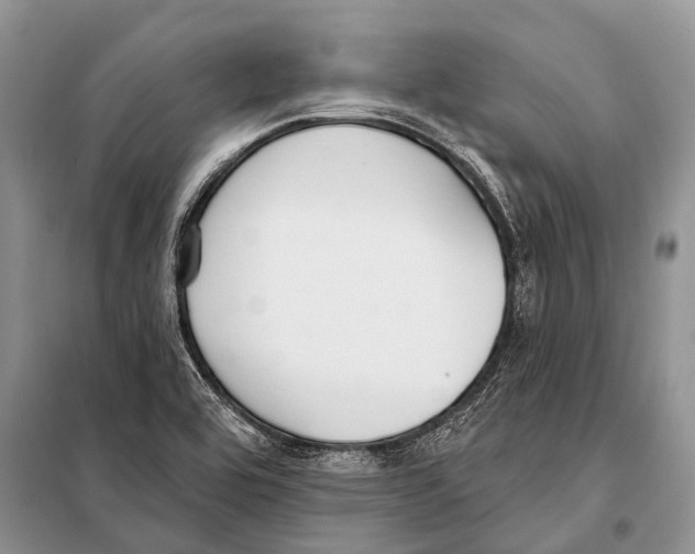 X0000098111464200805021122