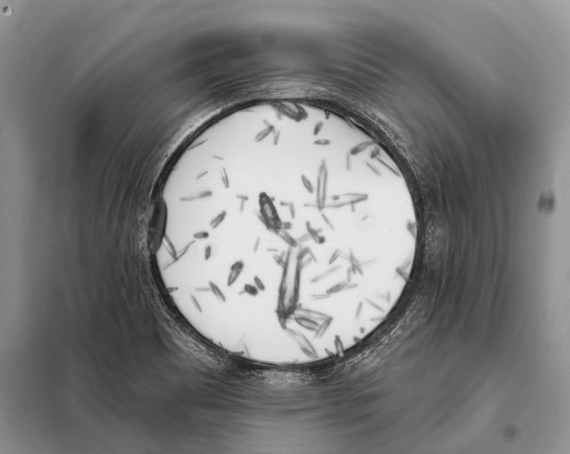X0000098111465200805021122