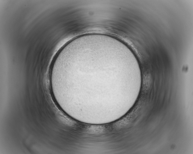 X0000098111466200805021122