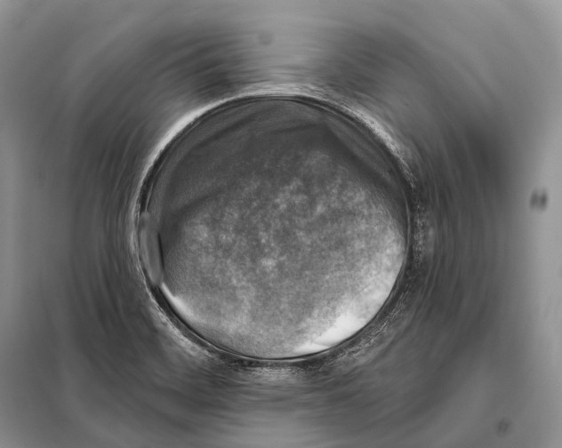 X0000098111468200805021122