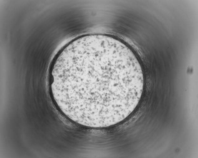 X0000098111469200805021122