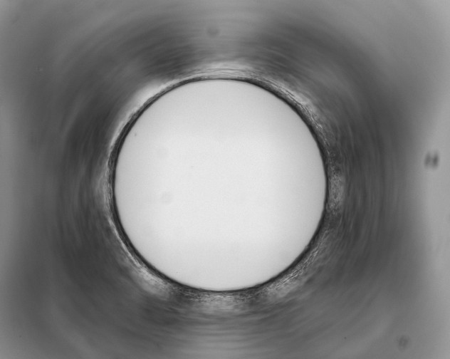 X0000098111470200805021122