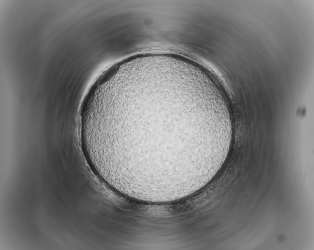 X0000098111472200805021122