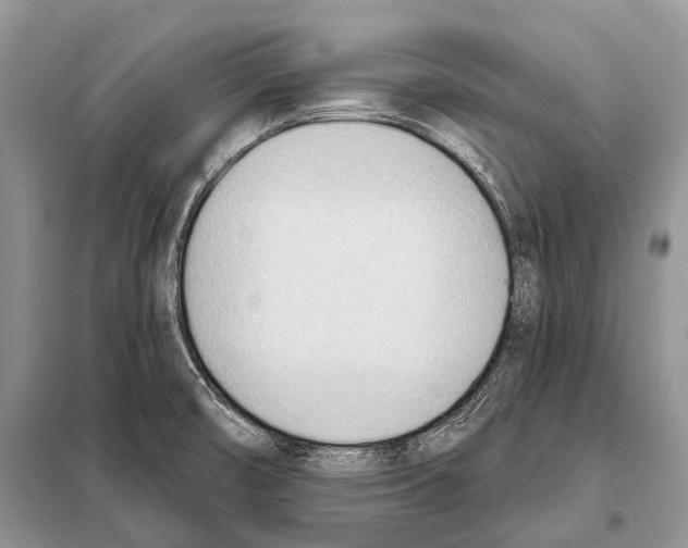 X0000098111474200805021122