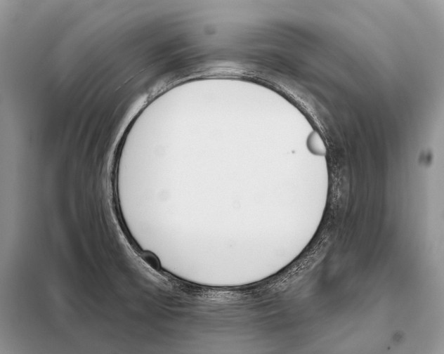 X0000098111475200805021122