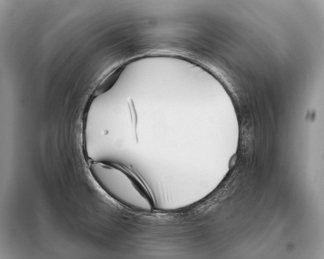 X0000098111476200805021122