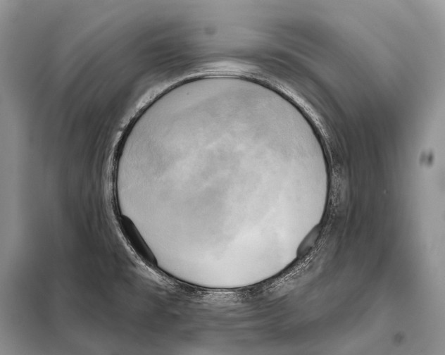 X0000098111477200805021122