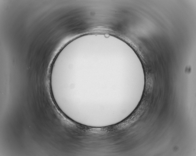 X0000098111478200805021121