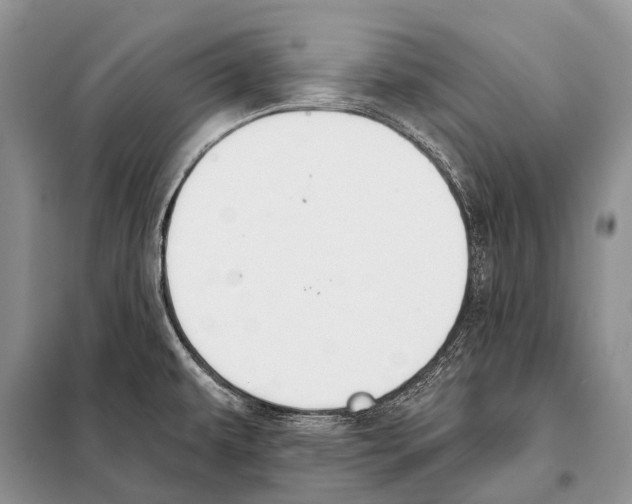 X0000098111479200805021121