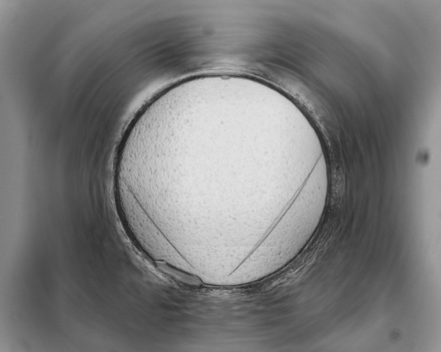 X0000098111480200805021121