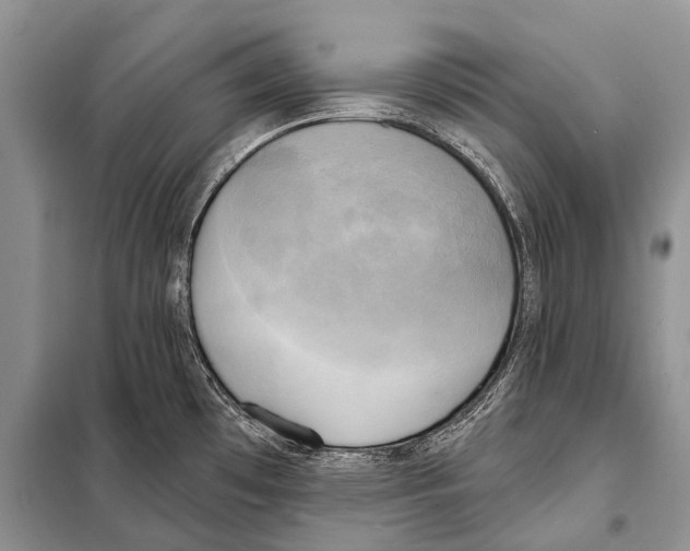 X0000098111481200805021121