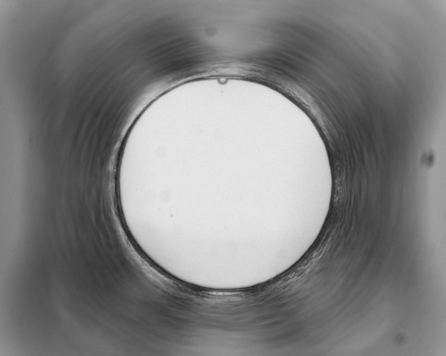 X0000098111483200805021121