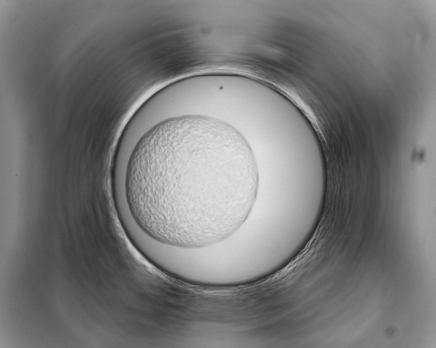 X0000098111484200805021121