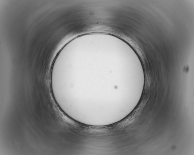 X0000098111486200805021121