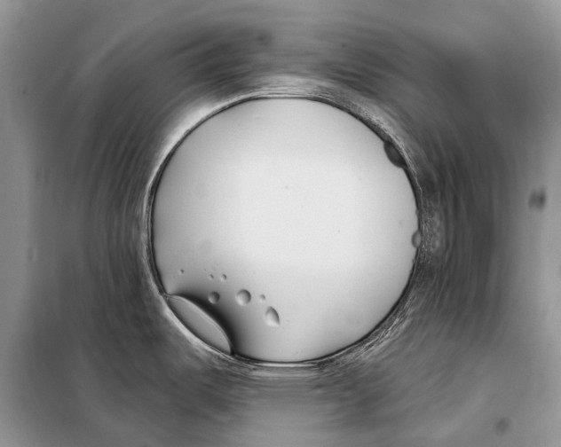 X0000098111487200805021121