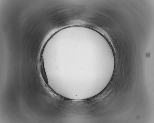 X0000098111488200805021121